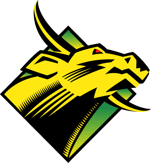 South Florida Bulls 1997-2002 Primary Logo iron on transfers for T-shirts